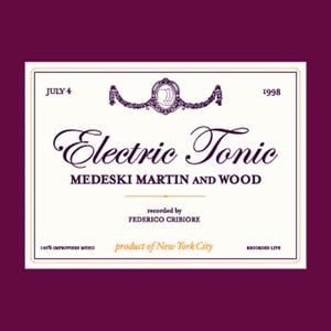 Medeski  Martin & Wood Electric Tonic album cover