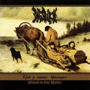 Drudkh - Кров у наших криницях (Blood in Our Wells) CD (album) cover