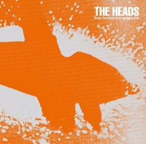 The Heads Under The Stress Of A Headlong Dive album cover