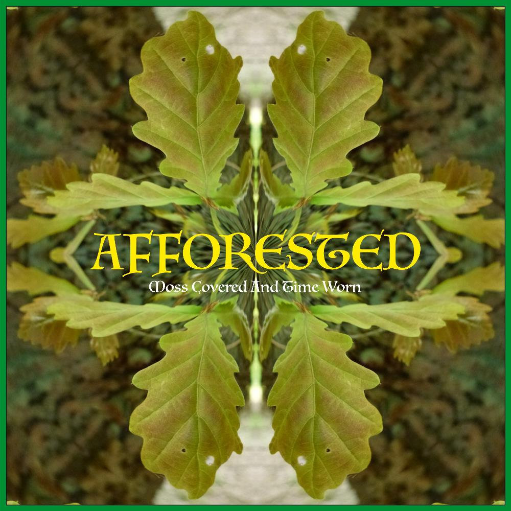 Afforested Moss Covered And Time Worn album cover