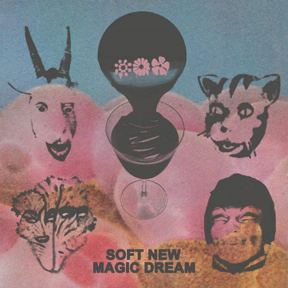 Soft New Magic Dream by Black Moth Super Rainbow album rcover