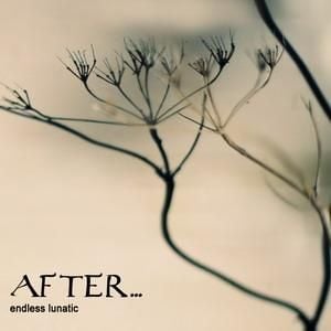 After... - Endless Lunatic CD (album) cover