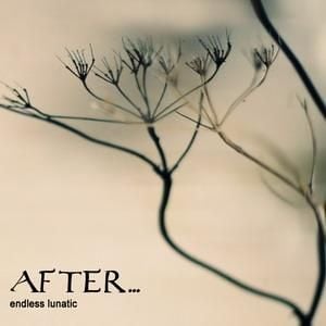 After... Endless Lunatic album cover