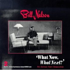 Bill Nelson What Now What Next album cover