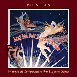 Bill Nelson And We Fell Into A Dream album cover