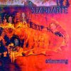 Standarte - Stimmung CD (album) cover