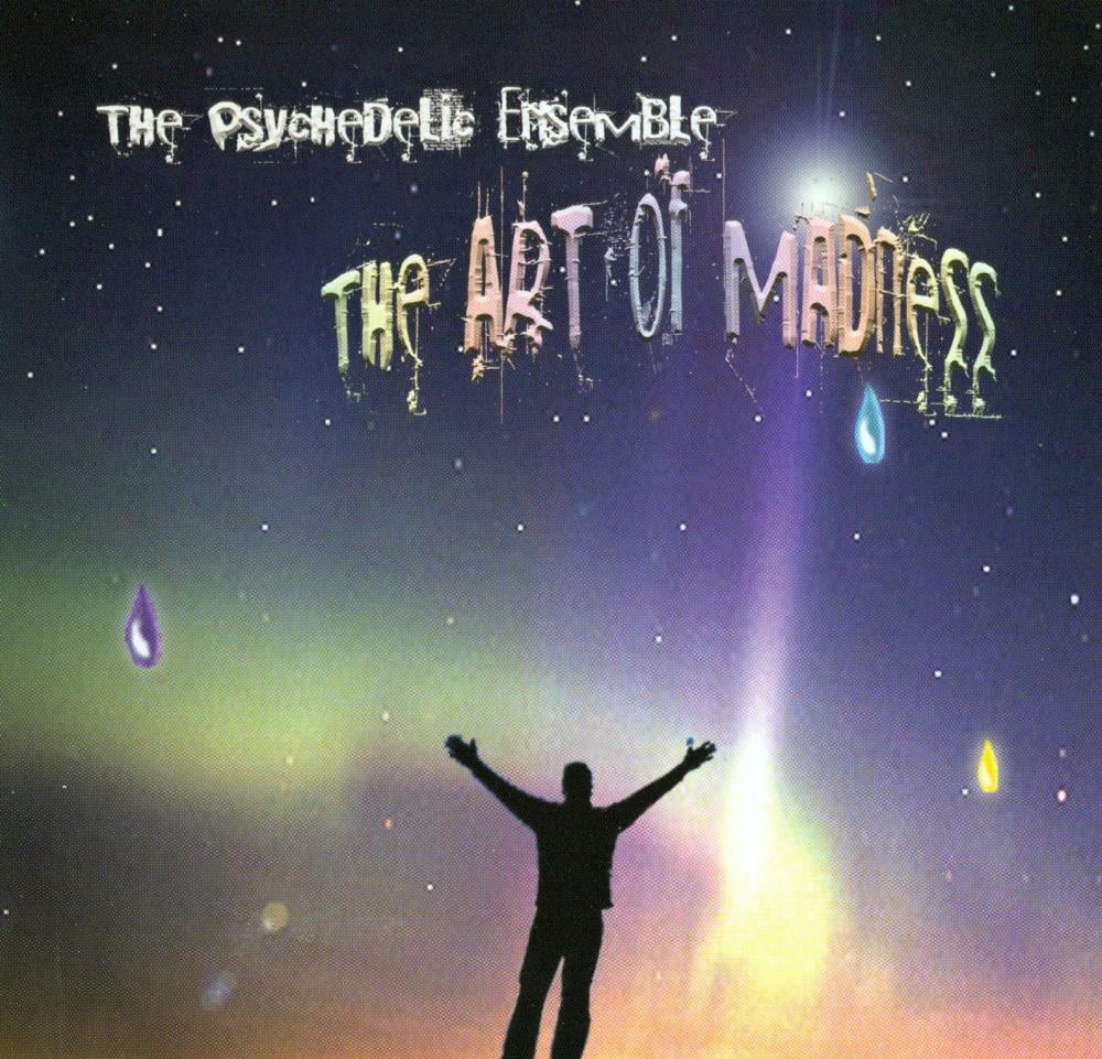 The Psychedelic Ensemble - The Art Of Madness CD (album) cover