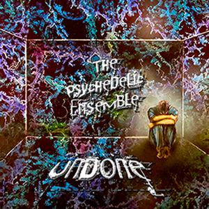 The Psychedelic Ensemble - Undone CD (album) cover
