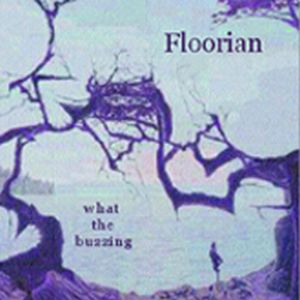Floorian - What The Buzzing CD (album) cover