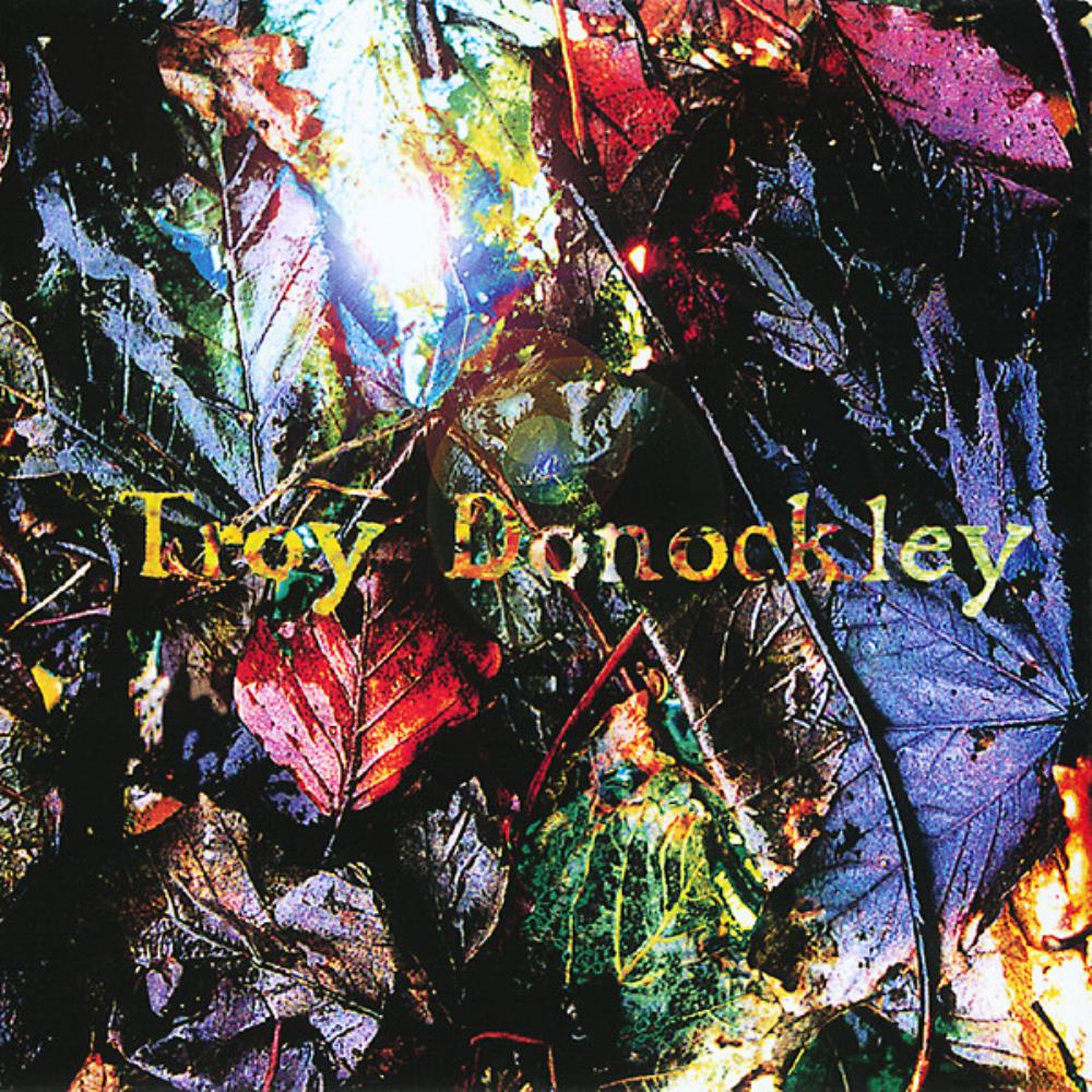 Troy Donockley The Unseen Stream album cover