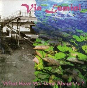 Via Lumini What Have We Done About Us  album cover
