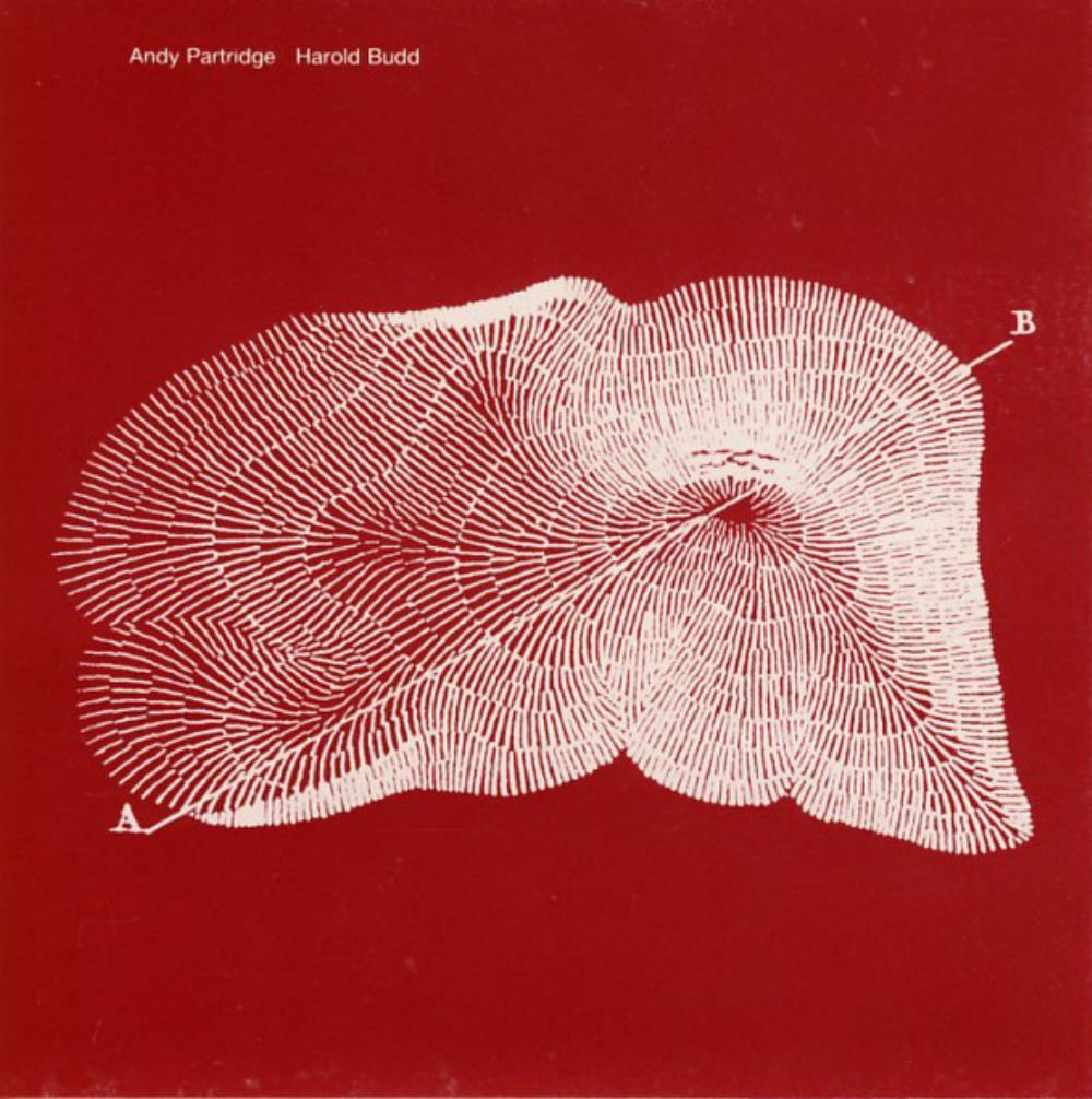 Harold Budd - Harold Budd & Andy Partridge: Through The Hill CD (album) cover