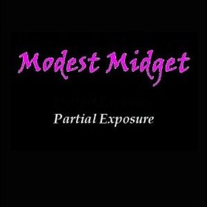Modest Midget Partial Exposure album cover