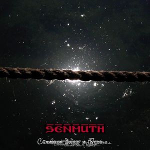 Senmuth - Slishkom dolgo i pusto CD (album) cover