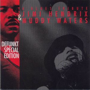 Defunkt A Blues Tribute - Jimi Hendrix & Muddy Waters album cover