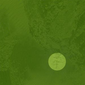 Lger Concrete Light album cover