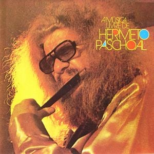 Hermeto Pascoal - A Msica Livre De Hermeto Paschoal CD (album) cover