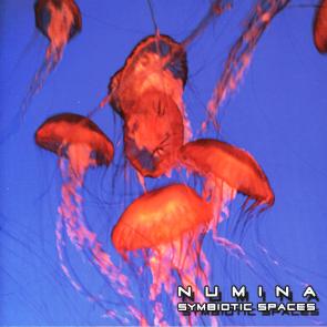 Numina Symbiotic Spaces album cover