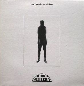 Budka Suflera Czas czekania, czas olśnienia album cover