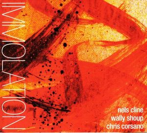 Nels Cline Immolation / Immersion (collaboration with Wally Shoup & Chris Corsano) album cover