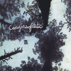 Canyonsofstatic The Disappearance album cover