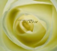 Stefano Panunzi - A Rose CD (album) cover