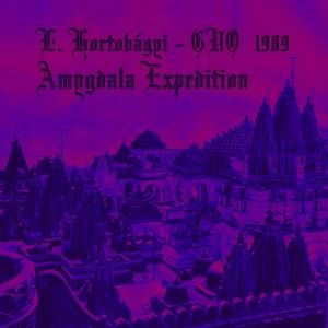 Lszl Hortobgyi Amygdala Expeditions album cover