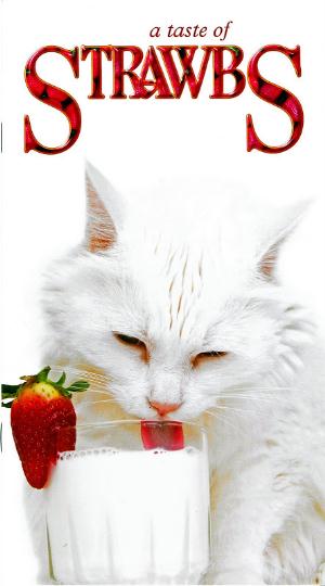 Strawbs - A Taste of Strawbs CD (album) cover