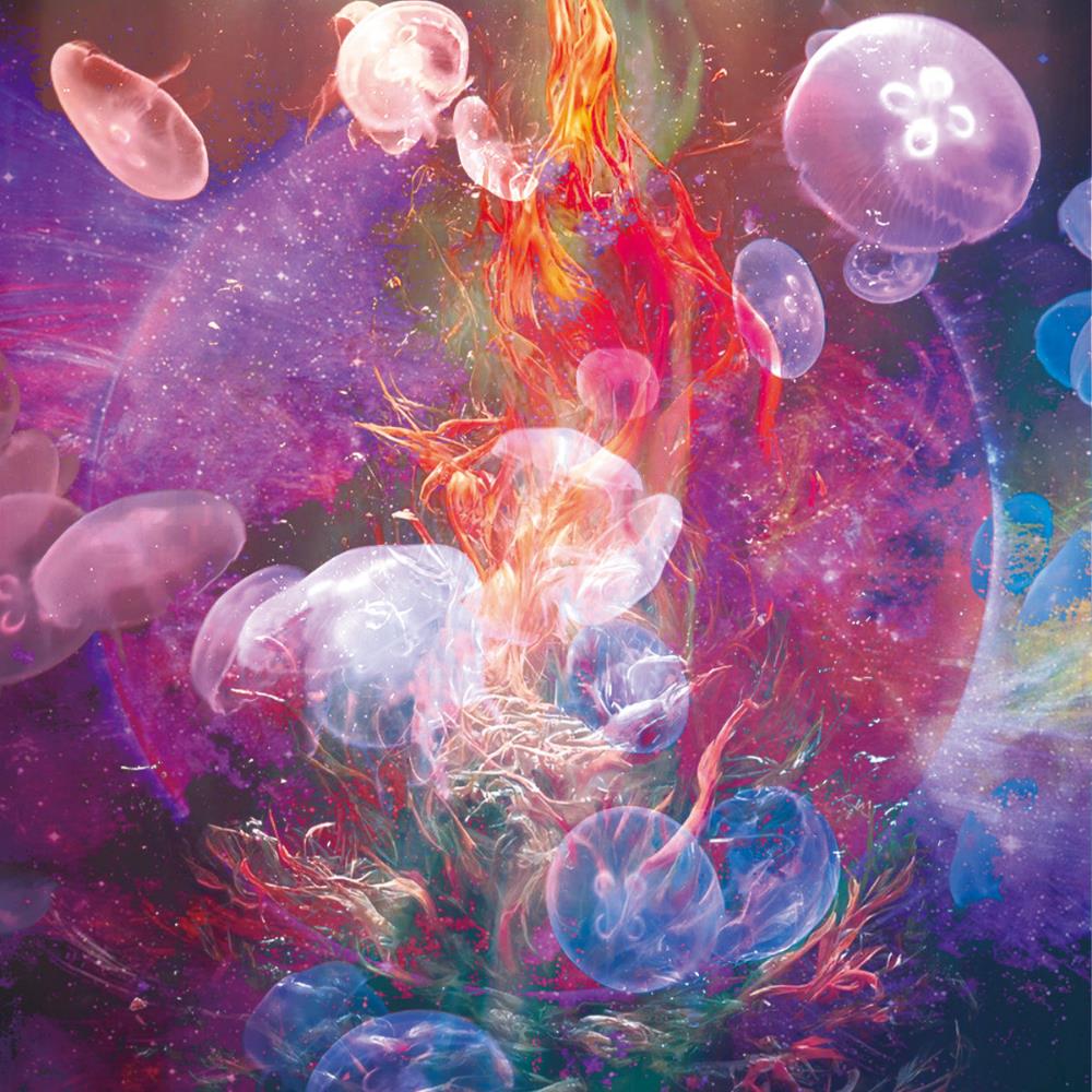 Tatsuya Yoshida - Jellyfish (with Risa Takeda) CD (album) cover