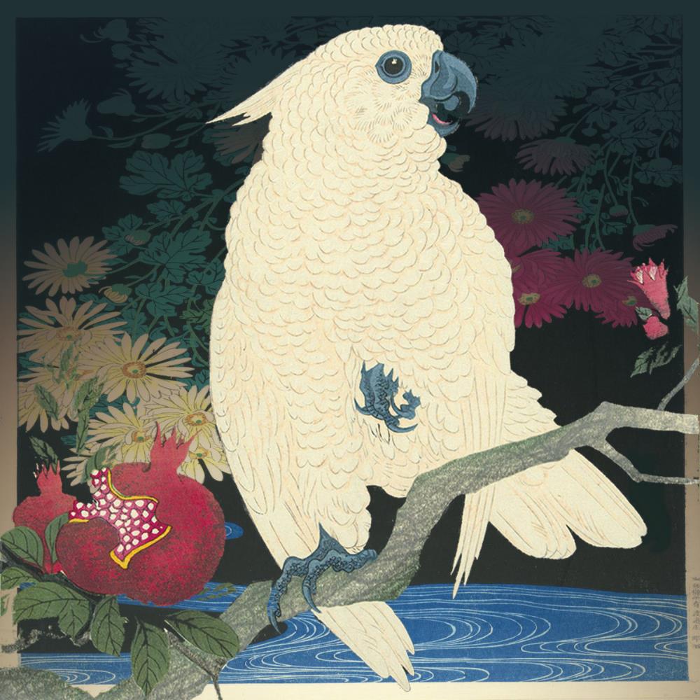 Tatsuya Yoshida - 閃 (with Risa Takeda) CD (album) cover
