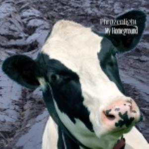 Phrozenlight - My Homeground CD (album) cover