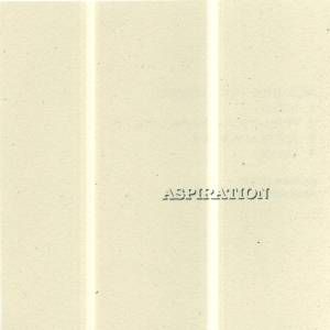 Aspiration Incendiarism album cover