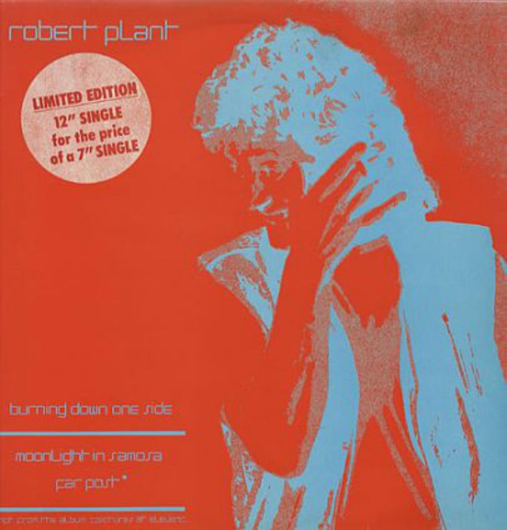 Robert Plant Burning Down One Side album cover