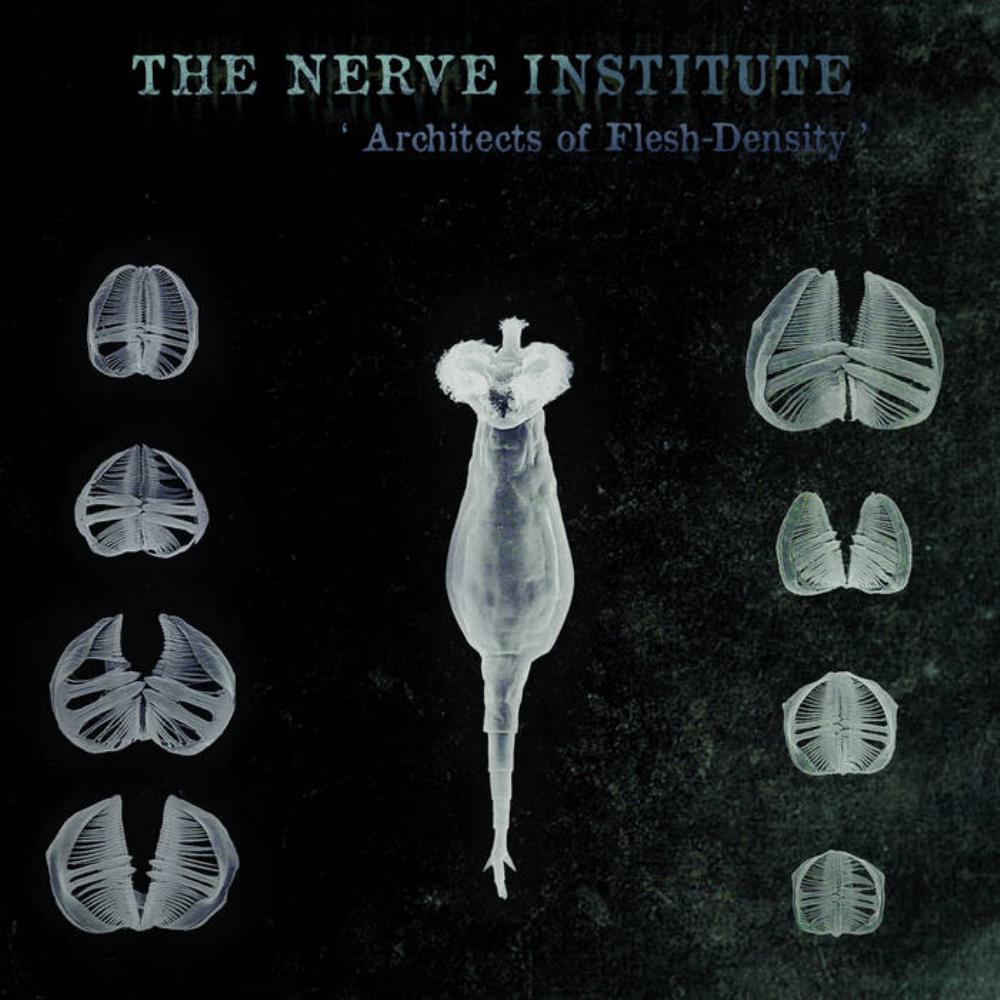 The Nerve Institute - Architects Of Flesh-Density CD (album) cover