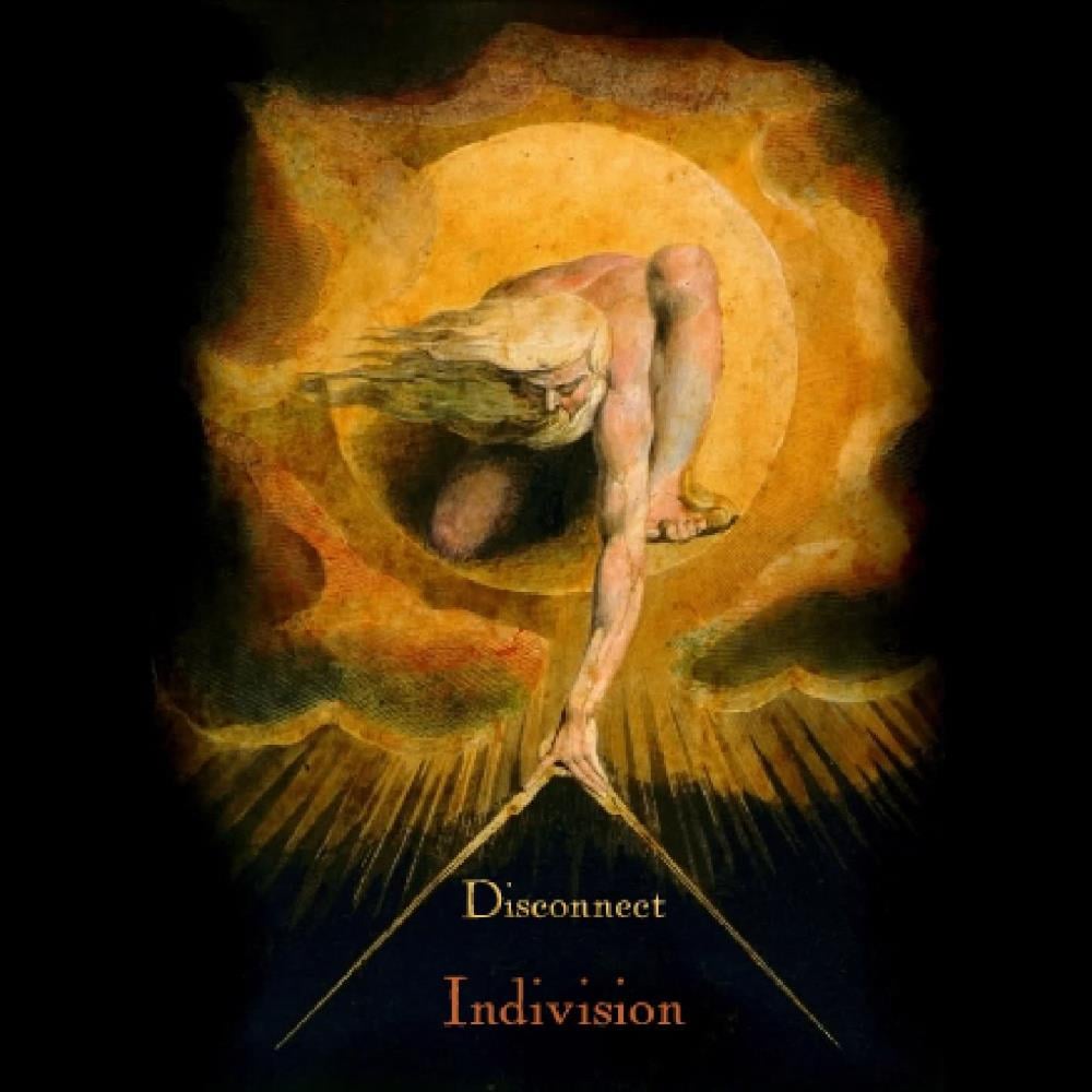 Disconnect - Indivision CD (album) cover