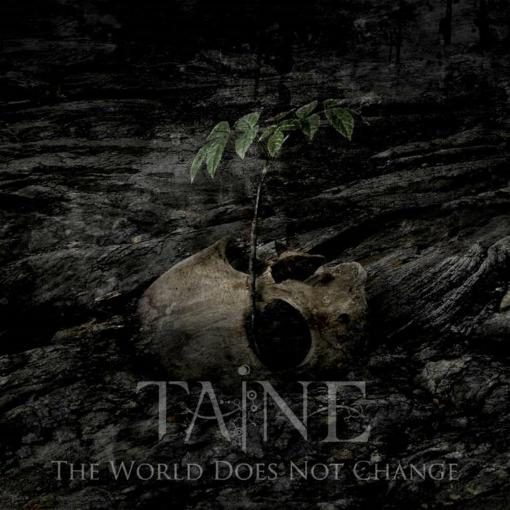 Taine - The World Does Not Change CD (album) cover