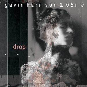 Gavin Harrison & 05Ric - Drop CD (album) cover