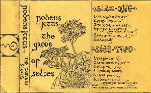 Nodens Ictus - The Grove Of Selves CD (album) cover