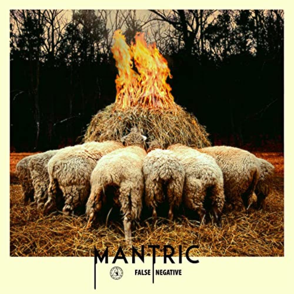 Mantric - False Negative CD (album) cover