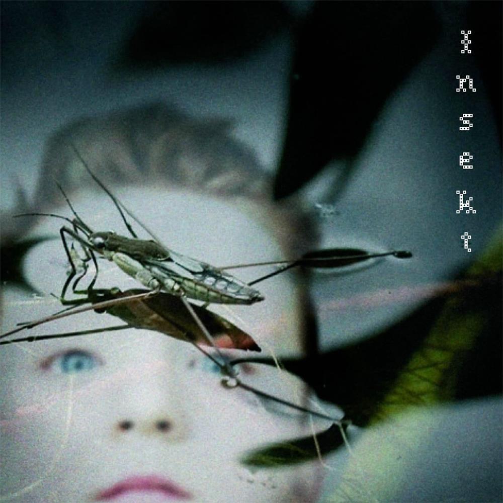 Carptree - Insekt CD (album) cover