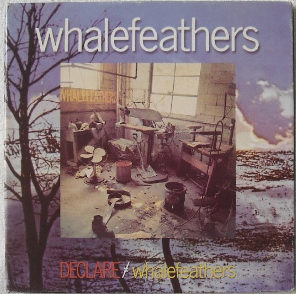 Whalefeathers - Declare / Whalefeathers CD (album) cover