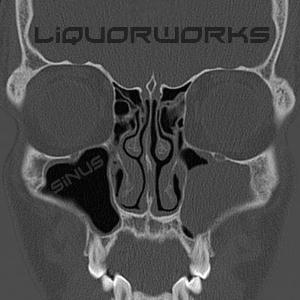 Liquorworks - Sinus CD (album) cover
