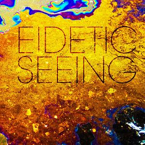 Eidetic Seeing - Eidetic Seeing CD (album) cover
