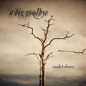 A Big Goodbye - Sounds & Silences CD (album) cover