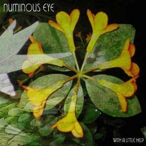 Numinous Eye - With A Little Help CD (album) cover