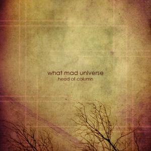 What Mad Universe Head Of Column album cover
