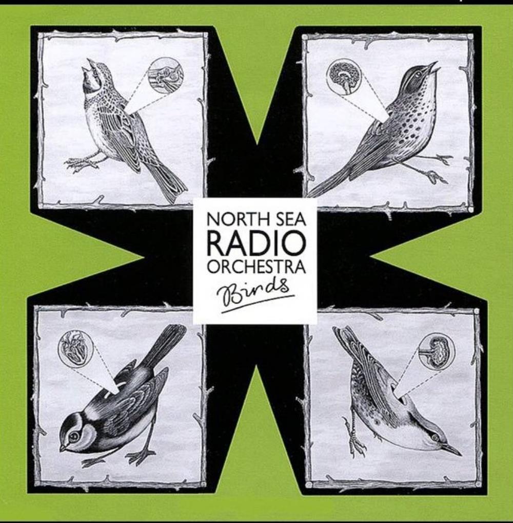 North Sea Radio Orchestra - Birds CD (album) cover