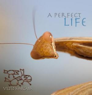 Vicolo Margana - A Perfect Life CD (album) cover