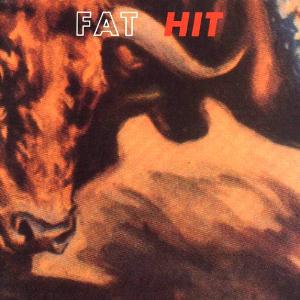 Fat - Hit CD (album) cover
