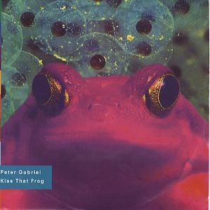 Peter Gabriel Kiss That Frog album cover